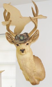 A mounted mule deer, taken from the J.S. Murphree Wildlife Management Area in 1963, wears a Texas Parks & Wildlife camoflauge hat in Jim Sutherlin's office. Sutherlin, Texas Parks & Wildlife Upper Coast Wetland Ecosystem Project leader and area manager for the J.D. Murphree Wildlife Management Area for the last 25 years, will retire from his Texas Parks & Wildlife posts on June 30.