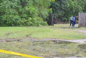    Crime scene tape marks off an area adjacent to and behind Royal Furniture, 4221 Gulfway Drive, on Tuesday where a homicide victim was located.   Mary Meaux/The News 