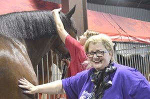 Jerrilynn Miller pets Prince, one of 10 Clydesdales that are in town for Mardi Gras Southeast Texas. Mary Meaux/The News