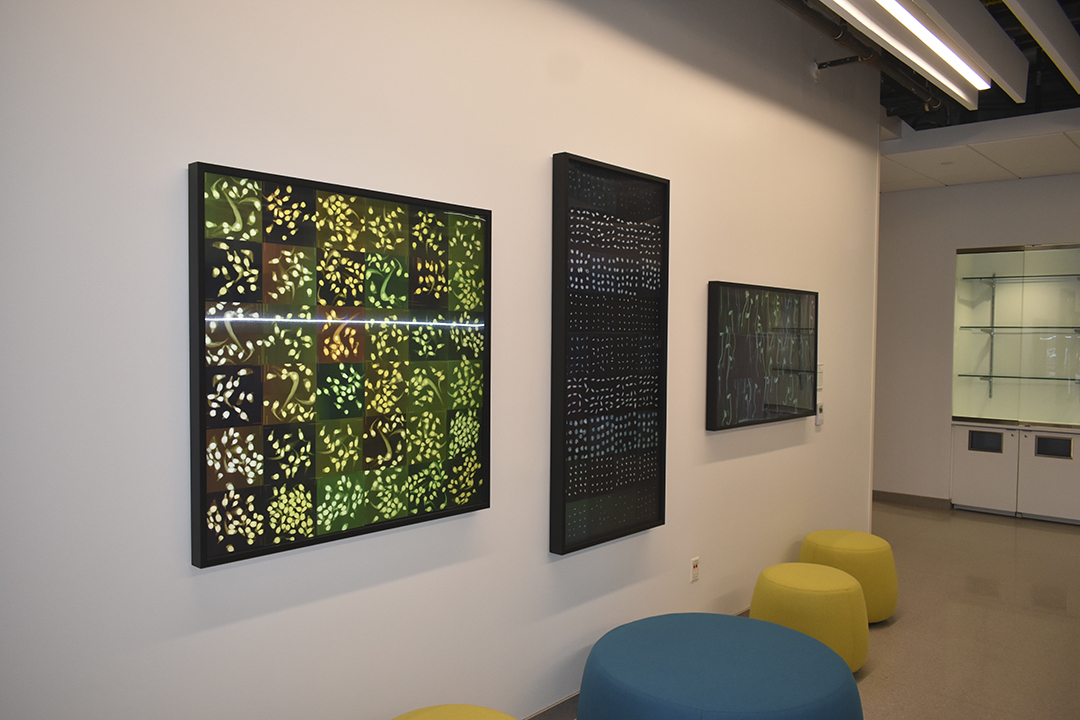 A place for vital research Lamar ready to unveil new Science and