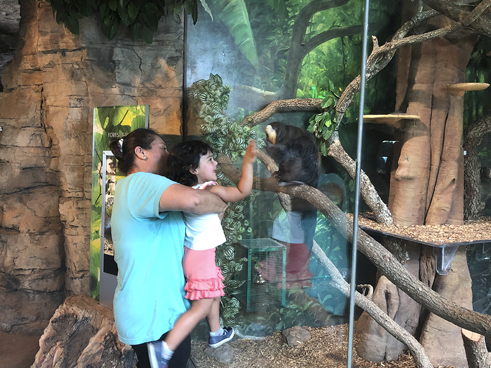 ONE TANK TRIP — 'Zoo'per fun Houston Zoo offers views of animals from