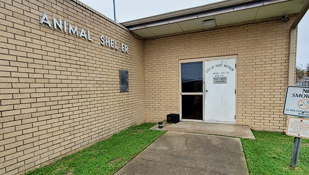 Administration reviewing animal shelter operations after widespread video; Port  Arthur City Council to receive report - Port Arthur News | Port Arthur News